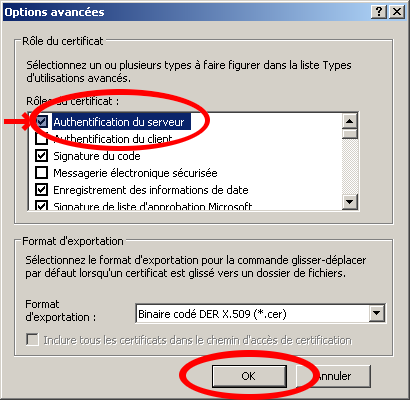 Activez l'option Authentification du serveur et validez