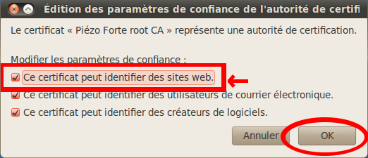 Activez l'option Authentification du serveur et validez